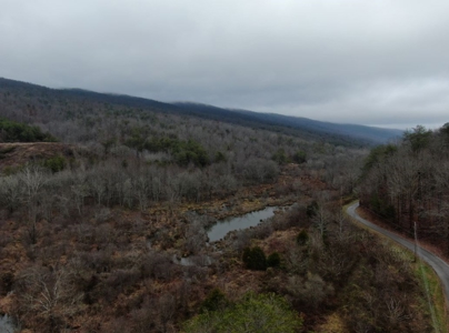 East Tennessee Mountain Land for Sale Grainger County - image 7