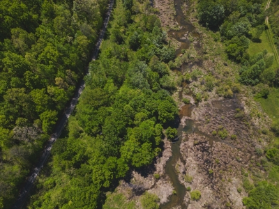 East Tennessee Mountain Land for Sale Grainger County - image 40
