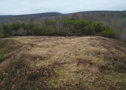 East Tennessee Mountain Land for Sale Grainger County - image 12