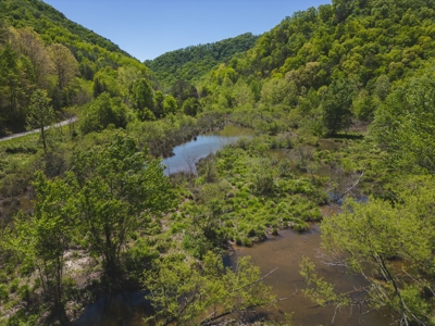 East Tennessee Mountain Land for Sale Grainger County - image 47