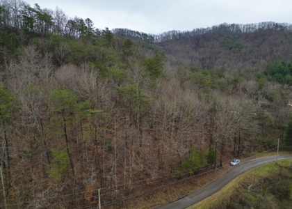 East Tennessee Mountain Land for Sale Grainger County - image 29