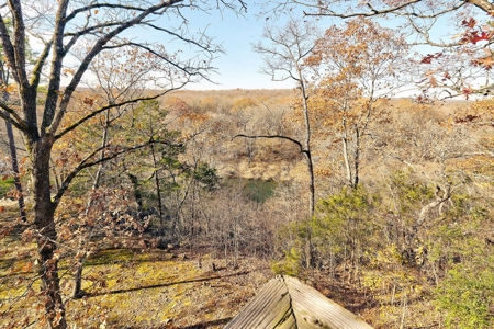 Little Red River Cabin For Sale Near Searcy, Arkansas - image 24