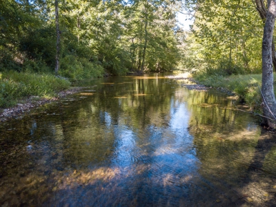 For Sale 15 Tn Acres Fields Fenced River Hwy Front Old Home - image 3