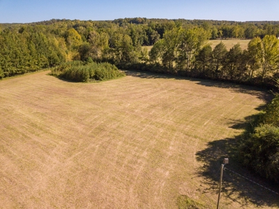 For Sale 15 Tn Acres Fields Fenced River Hwy Front Old Home - image 6