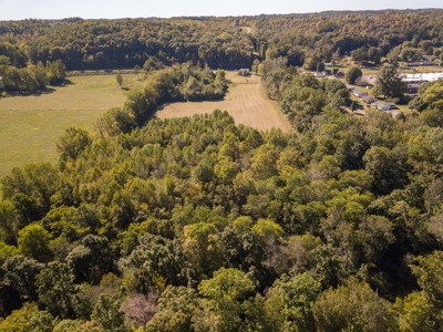 For Sale 15 Tn Acres Fields Fenced River Hwy Front Old Home - image 8