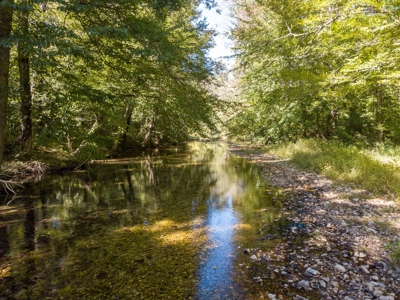 For Sale 15 Tn Acres Fields Fenced River Hwy Front Old Home - image 2