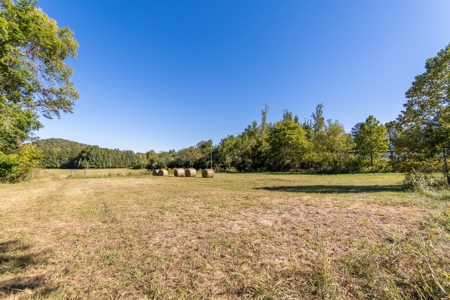 For Sale 15 Tn Acres Fields Fenced River Hwy Front Old Home - image 10
