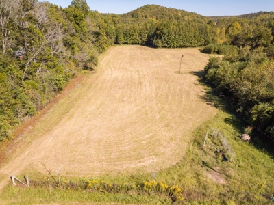 For Sale 15 Tn Acres Fields Fenced River Hwy Front Old Home - image 5