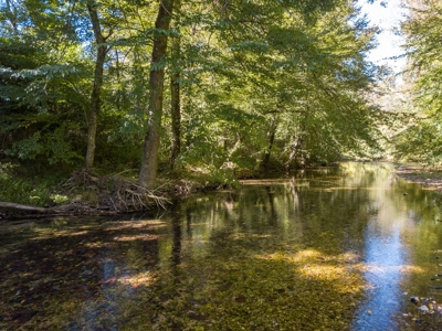 For Sale 15 Tn Acres Fields Fenced River Hwy Front Old Home - image 1