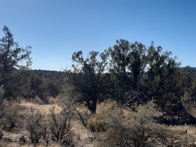 Perfect views from this Northern AZ Mountain property. - image 9