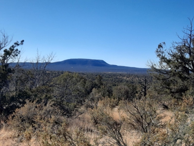 Perfect views from this Northern AZ Mountain property. - image 1