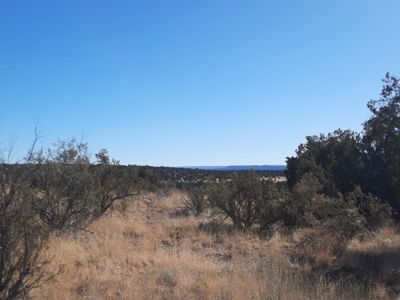 Perfect views from this Northern AZ Mountain property. - image 3