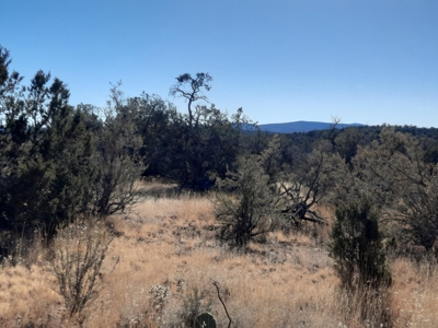 Perfect views from this Northern AZ Mountain property. - image 2