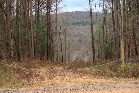 Property on Strawberry Lake - image 4