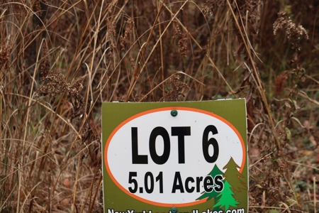 Property on Strawberry Lake - image 6