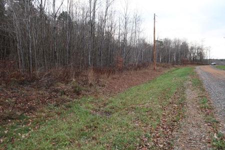 Property on Strawberry Lake - image 10