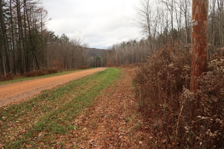 Property on Strawberry Lake - image 1