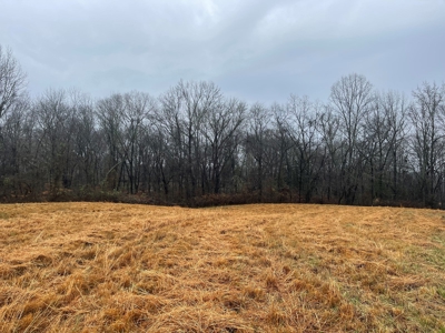 Lot #6 Misty River Resort - 2.27 +/- Acres in Burkesville KY - image 1