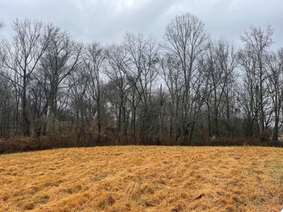 Lot #6 Misty River Resort - 2.27 +/- Acres in Burkesville KY - image 2