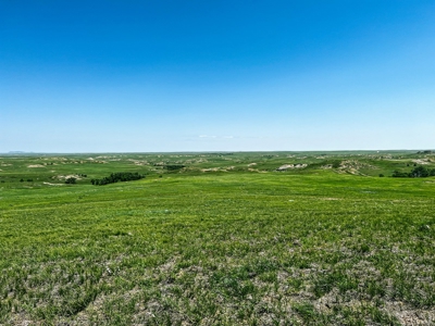 Grassland Cattle Ranch For Sale In Wibaux County Montana - image 3