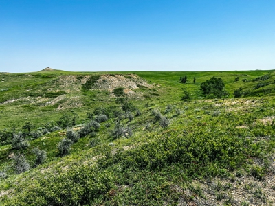 Grassland Cattle Ranch For Sale In Wibaux County Montana - image 9