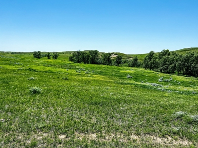 Grassland Cattle Ranch For Sale In Wibaux County Montana - image 16