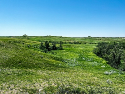 Grassland Cattle Ranch For Sale In Wibaux County Montana - image 20