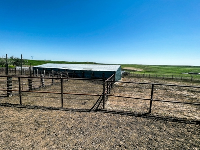 Grassland Cattle Ranch For Sale In Wibaux County Montana - image 15