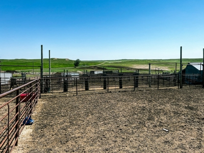 Grassland Cattle Ranch For Sale In Wibaux County Montana - image 5