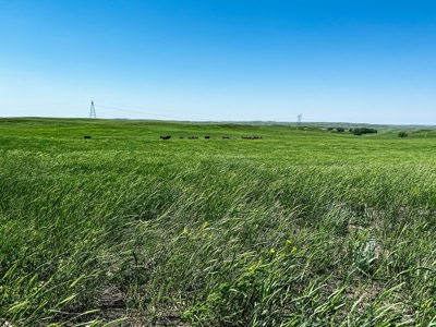 Grassland Cattle Ranch For Sale In Wibaux County Montana - image 7