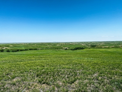 Grassland Cattle Ranch For Sale In Wibaux County Montana - image 14