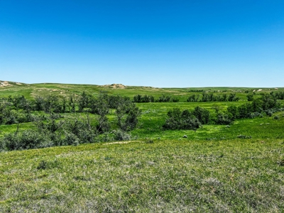 Grassland Cattle Ranch For Sale In Wibaux County Montana - image 1
