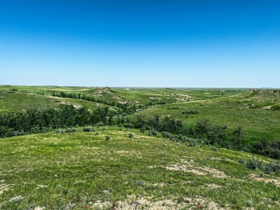 Grassland Cattle Ranch For Sale In Wibaux County Montana - image 21