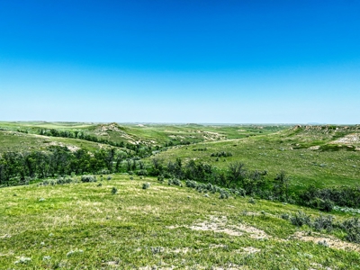 Grassland Cattle Ranch For Sale In Wibaux County Montana - image 4