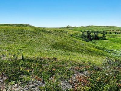 Grassland Cattle Ranch For Sale In Wibaux County Montana - image 8