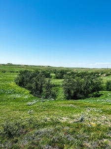 Grassland Cattle Ranch For Sale In Wibaux County Montana - image 18