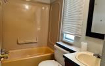 Country Living In Live Oak Florida! - image 14