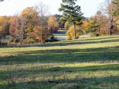 77 East Texas Acres + 3/2 Home + Ponds + Lake - Winnsboro - image 31