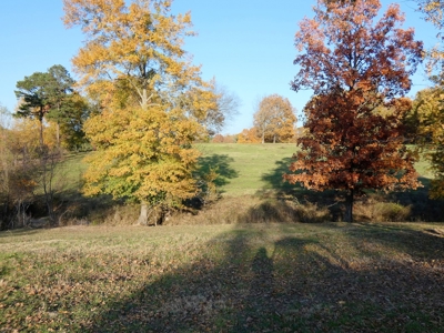 77 East Texas Acres + 3/2 Home + Ponds + Lake - Winnsboro - image 33