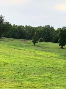 77 East Texas Acres + 3/2 Home + Ponds + Lake - Winnsboro - image 5