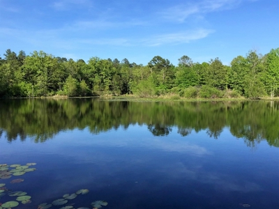 77 East Texas Acres + 3/2 Home + Ponds + Lake - Winnsboro - image 1