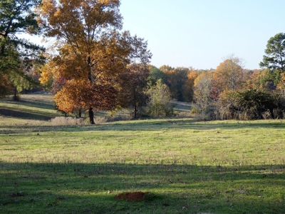 77 East Texas Acres + 3/2 Home + Ponds + Lake - Winnsboro - image 29