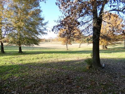 77 East Texas Acres + 3/2 Home + Ponds + Lake - Winnsboro - image 25