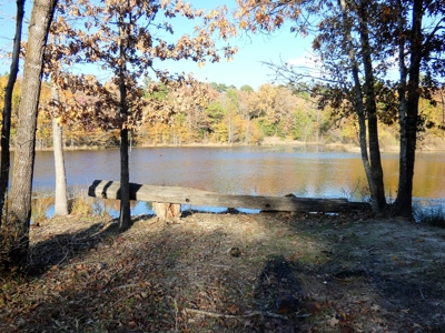 77 East Texas Acres + 3/2 Home + Ponds + Lake - Winnsboro - image 13