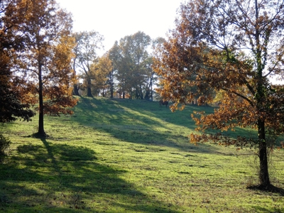 77 East Texas Acres + 3/2 Home + Ponds + Lake - Winnsboro - image 24