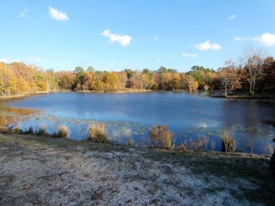 77 East Texas Acres + 3/2 Home + Ponds + Lake - Winnsboro - image 18