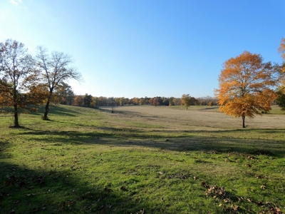 77 East Texas Acres + 3/2 Home + Ponds + Lake - Winnsboro - image 21