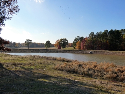 77 East Texas Acres + 3/2 Home + Ponds + Lake - Winnsboro - image 16