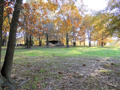 77 East Texas Acres + 3/2 Home + Ponds + Lake - Winnsboro - image 27