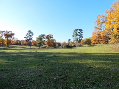 77 East Texas Acres + 3/2 Home + Ponds + Lake - Winnsboro - image 28